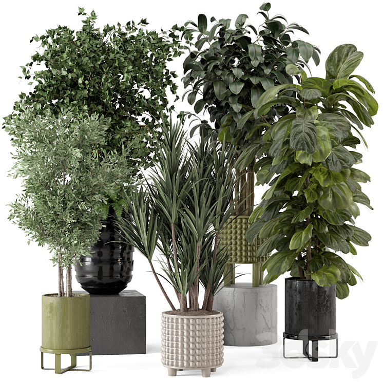 Indoor Plants in Ferm Living Bau Pot Large – Set 1053 3DS Max Model - thumbnail 1