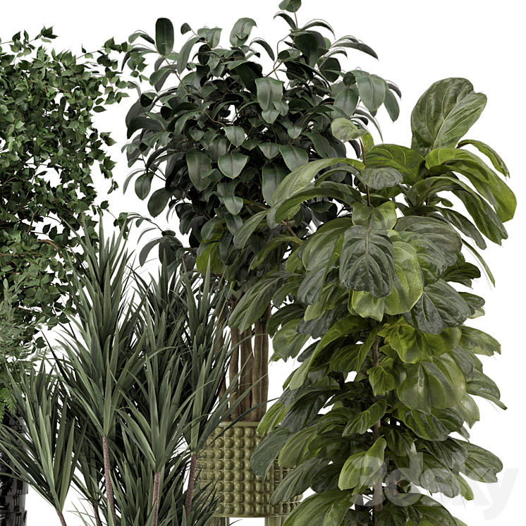 Indoor Plants in Ferm Living Bau Pot Large – Set 1053 3DS Max - thumbnail 2