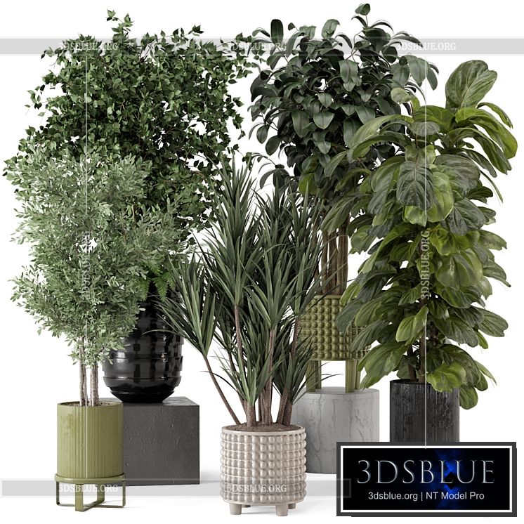 Indoor Plants in Ferm Living Bau Pot Large – Set 1053 3DS Max - thumbnail 3