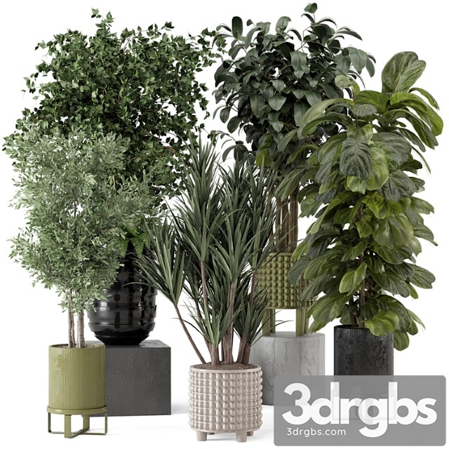 Indoor plants in ferm living bau pot large – set 1053 - thumbnail 1