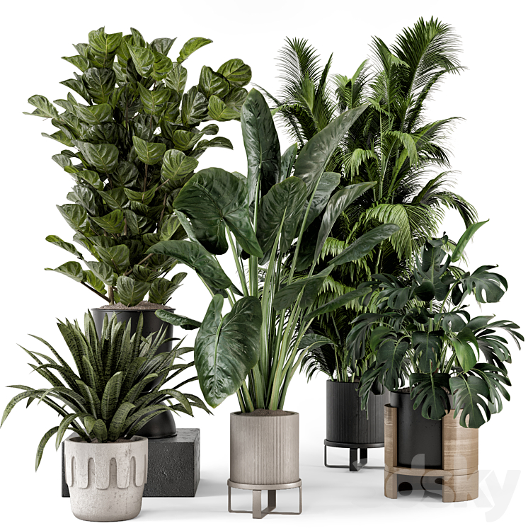 Indoor Plants in Ferm Living Bau Pot Large – Set 1188 3DS Max Model - thumbnail 3