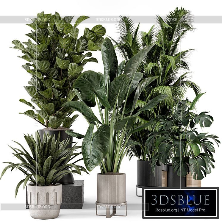 Indoor Plants in Ferm Living Bau Pot Large – Set 1188 3DS Max - thumbnail 3