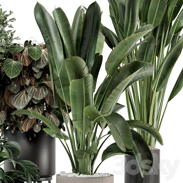 Indoor Plants in Ferm Living Bau Pot Large – Set 1204 3DS Max Model - thumbnail 2