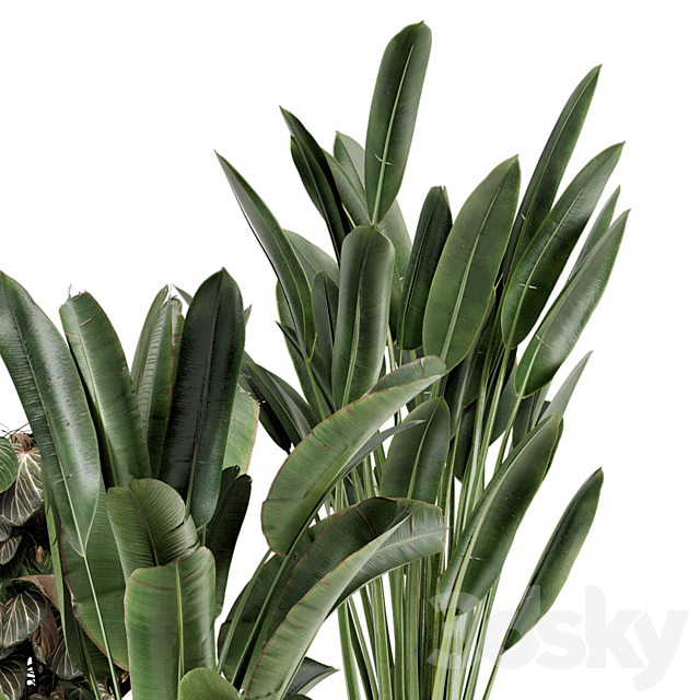 Indoor Plants in Ferm Living Bau Pot Large – Set 1204 3DS Max Model - thumbnail 3