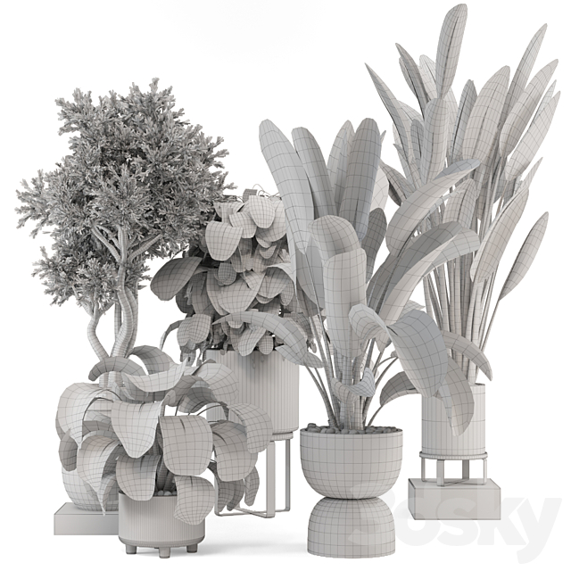 Indoor Plants in Ferm Living Bau Pot Large – Set 1204 3DS Max Model - thumbnail 7