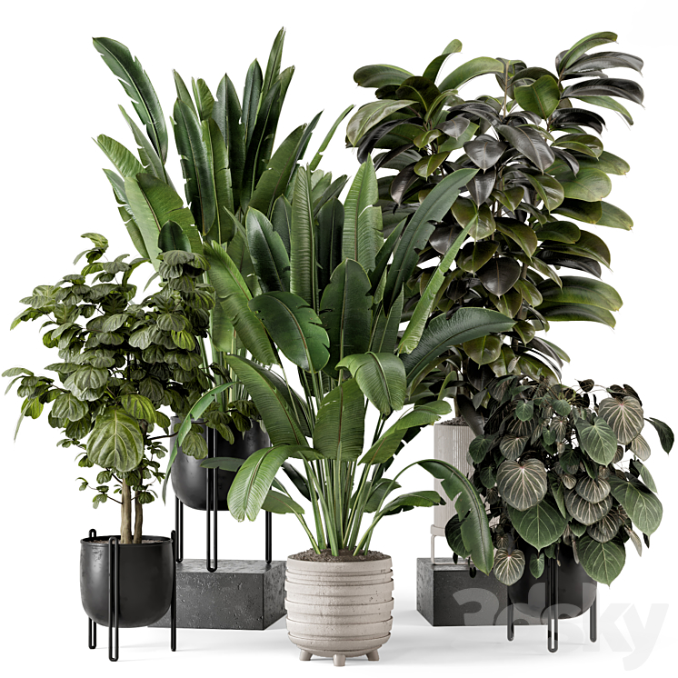 Indoor Plants in Ferm Living Bau Pot Large – Set 1208 3DS Max - thumbnail 1