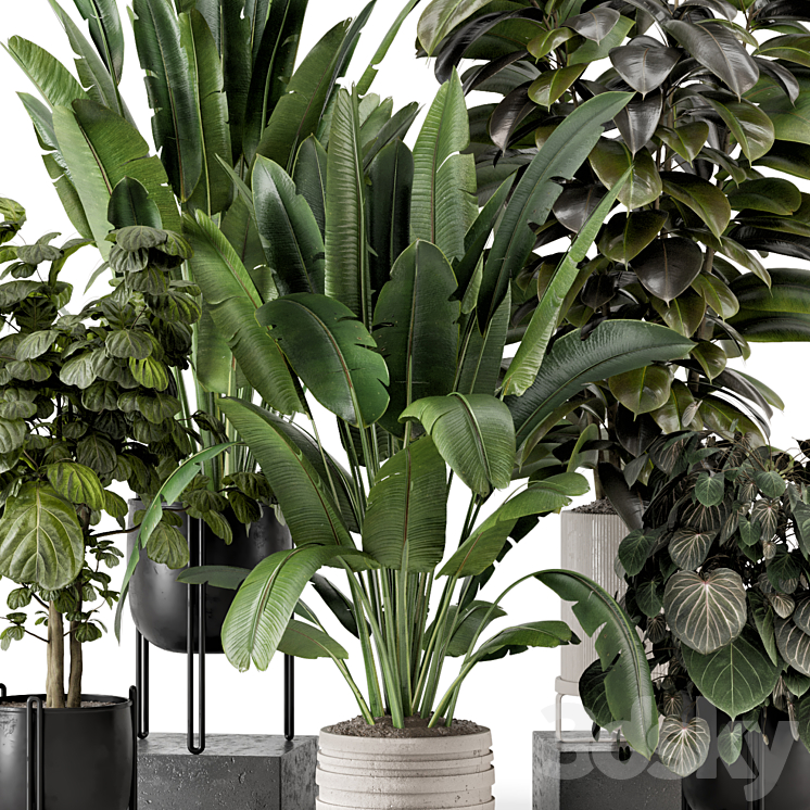 Indoor Plants in Ferm Living Bau Pot Large – Set 1208 3DS Max - thumbnail 2