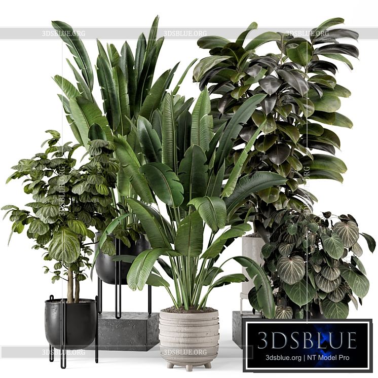 Indoor Plants in Ferm Living Bau Pot Large – Set 1208 3DS Max - thumbnail 3