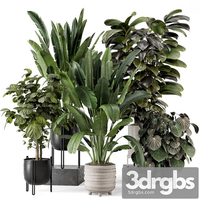 Indoor plants in ferm living bau pot large – set 1208 - thumbnail 1