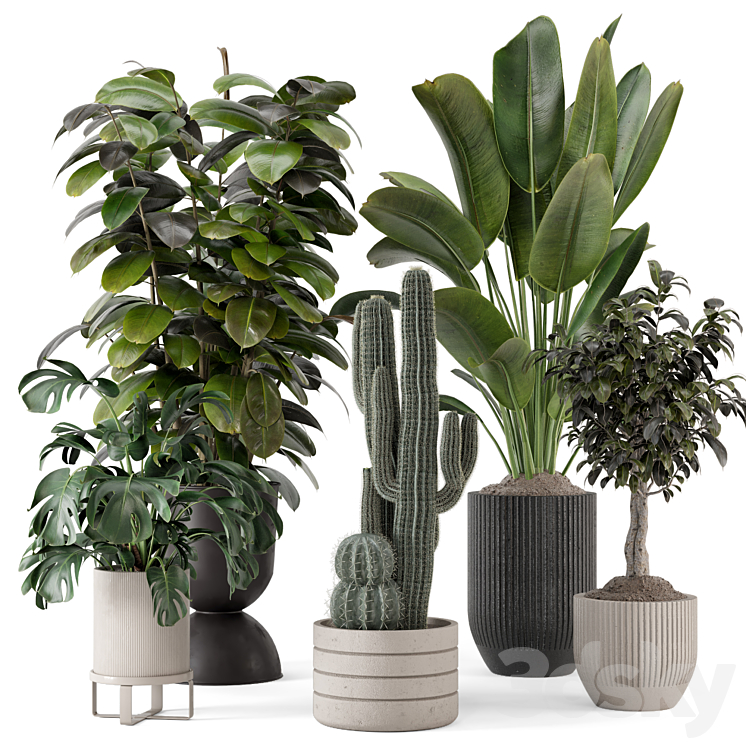Indoor Plants in Ferm Living Bau Pot Large – Set 1220 3DS Max Model - thumbnail 1