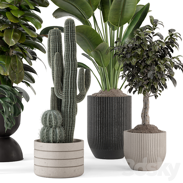 Indoor Plants in Ferm Living Bau Pot Large – Set 1220 3DS Max - thumbnail 2