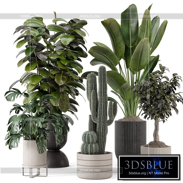 Indoor Plants in Ferm Living Bau Pot Large – Set 1220 3DS Max - thumbnail 3