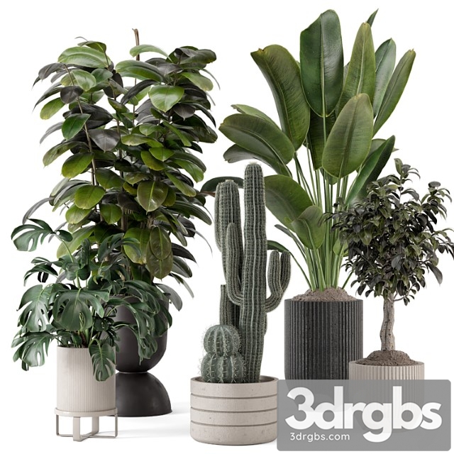 Indoor plants in ferm living bau pot large – set 1220 - thumbnail 1