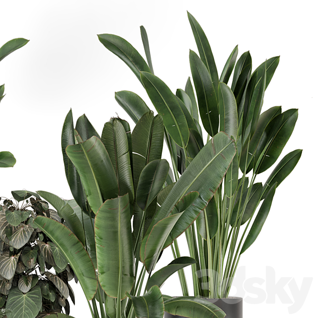 Indoor Plants in Ferm Living Bau Pot Large – Set 1256 3DS Max Model - thumbnail 3