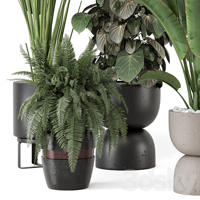 Indoor Plants in Ferm Living Bau Pot Large – Set 1256 3DS Max Model - thumbnail 4