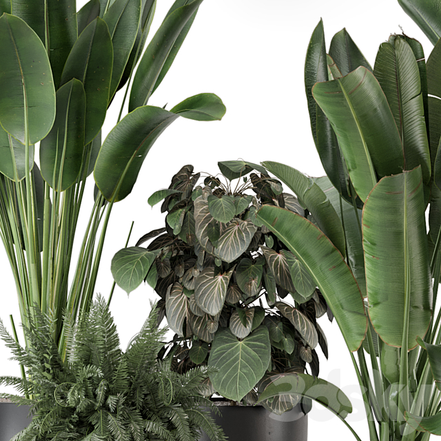 Indoor Plants in Ferm Living Bau Pot Large – Set 1256 3DS Max Model - thumbnail 5