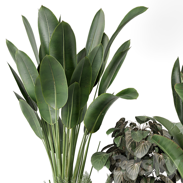 Indoor Plants in Ferm Living Bau Pot Large – Set 1256 3DS Max Model - thumbnail 6