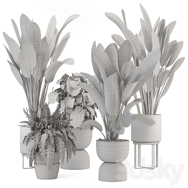 Indoor Plants in Ferm Living Bau Pot Large – Set 1256 3DS Max Model - thumbnail 7