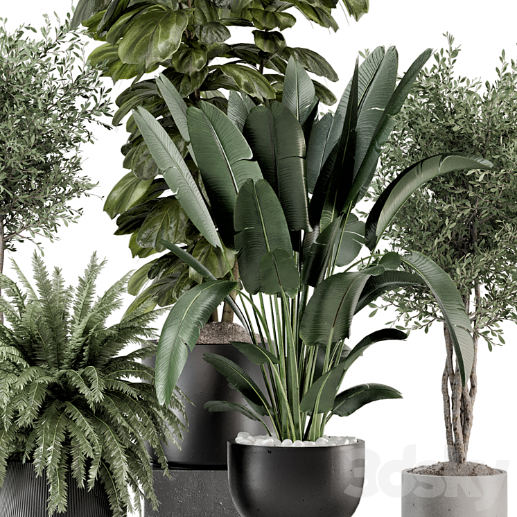 Indoor Plants in Ferm Living Bau Pot Large – Set 1277 3DS Max Model - thumbnail 2