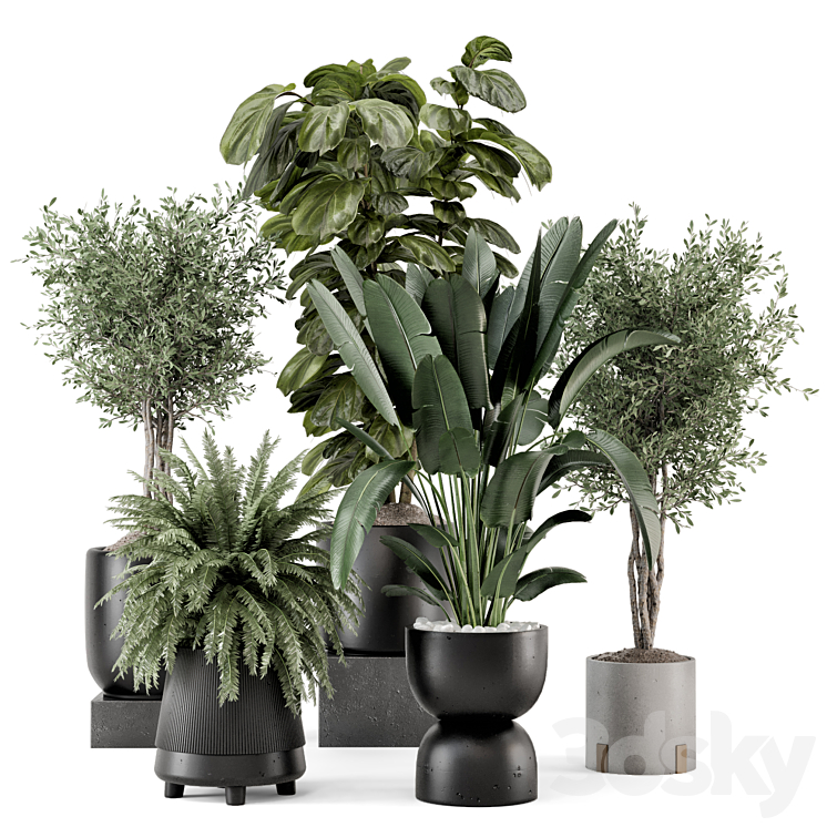 Indoor Plants in Ferm Living Bau Pot Large – Set 1277 3DS Max Model - thumbnail 3