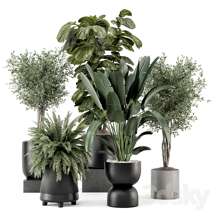 Indoor Plants in Ferm Living Bau Pot Large – Set 1277 3DS Max - thumbnail 1