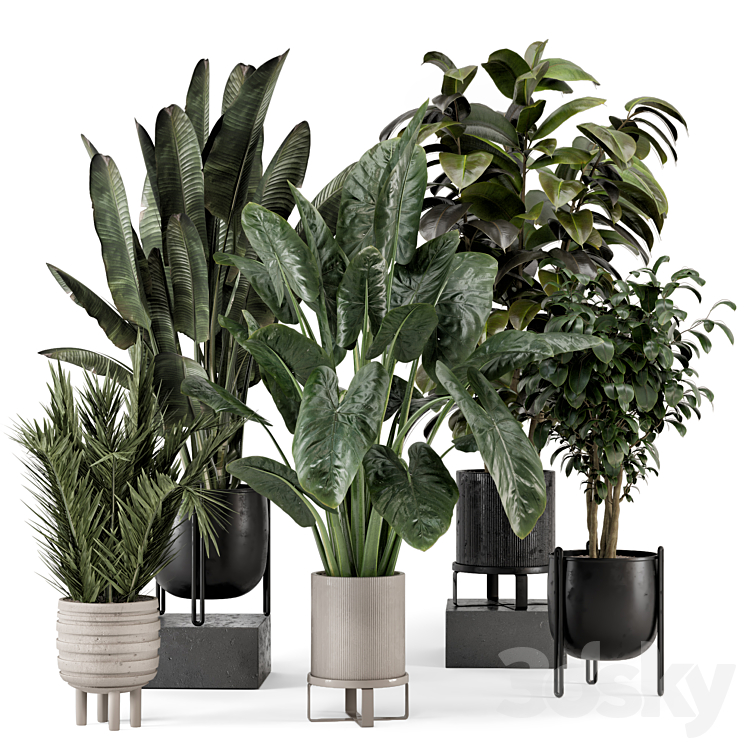 Indoor Plants in Ferm Living Bau Pot Large – Set 1292 3DS Max Model - thumbnail 1