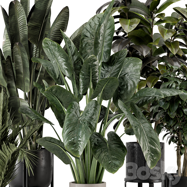 Indoor Plants in Ferm Living Bau Pot Large – Set 1292 3DS Max - thumbnail 2