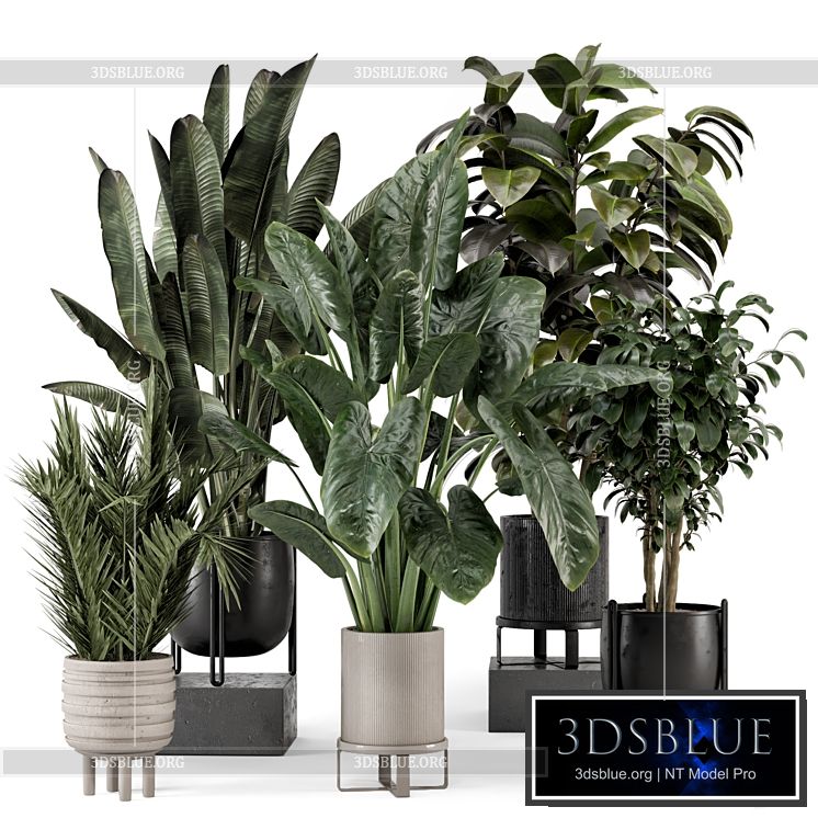 Indoor Plants in Ferm Living Bau Pot Large – Set 1292 3DS Max - thumbnail 3