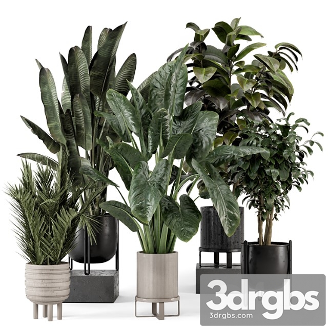 Indoor plants in ferm living bau pot large – set 1292 - thumbnail 1