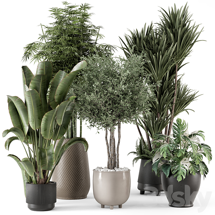Indoor Plants in Ferm Living Bau Pot Large – Set 1325 3DS Max Model - thumbnail 1