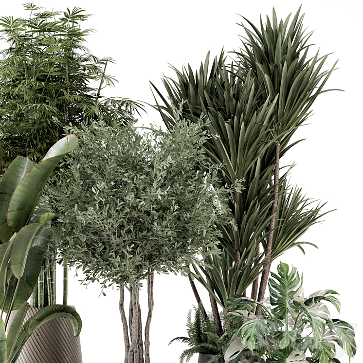 Indoor Plants in Ferm Living Bau Pot Large – Set 1325 3DS Max Model - thumbnail 2