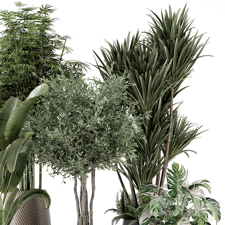 Indoor Plants in Ferm Living Bau Pot Large – Set 1325 3DS Max - thumbnail 2