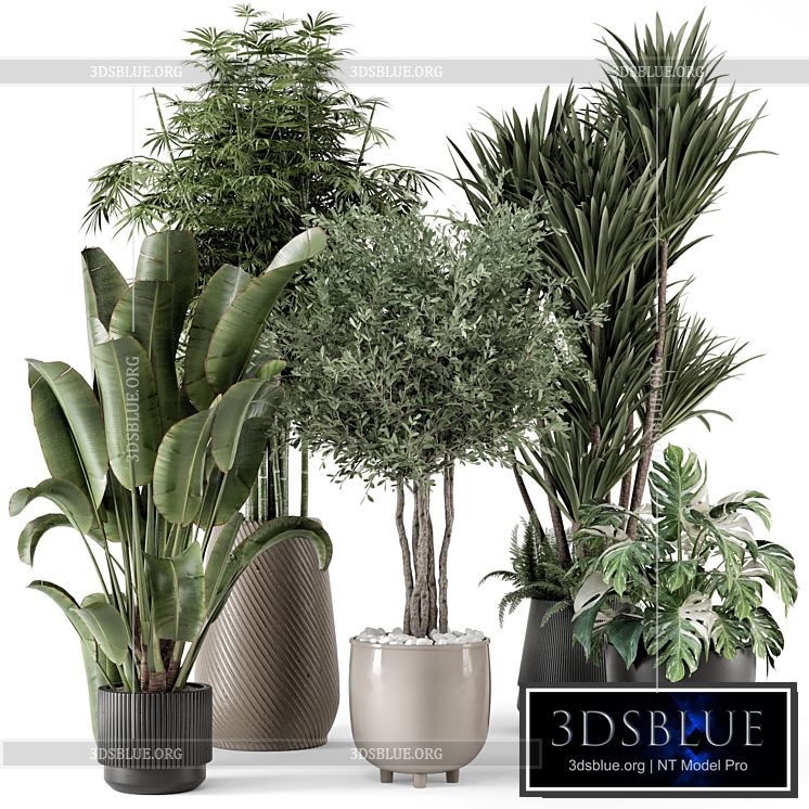 Indoor Plants in Ferm Living Bau Pot Large – Set 1325 3DS Max - thumbnail 3