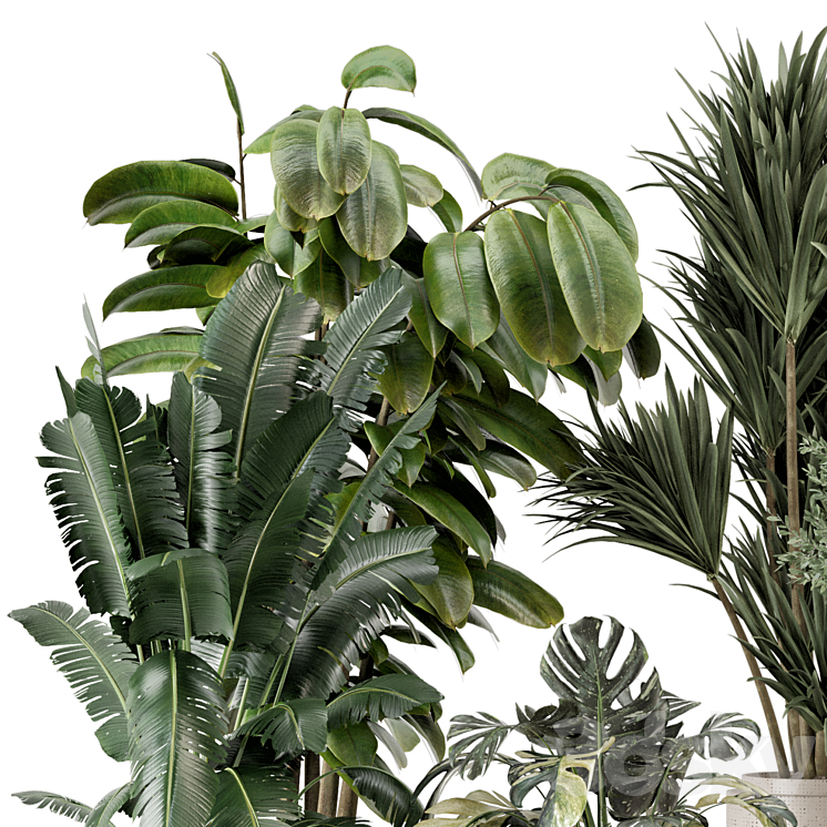 Indoor Plants in Ferm Living Bau Pot Large – Set 1328 3DS Max Model - thumbnail 2