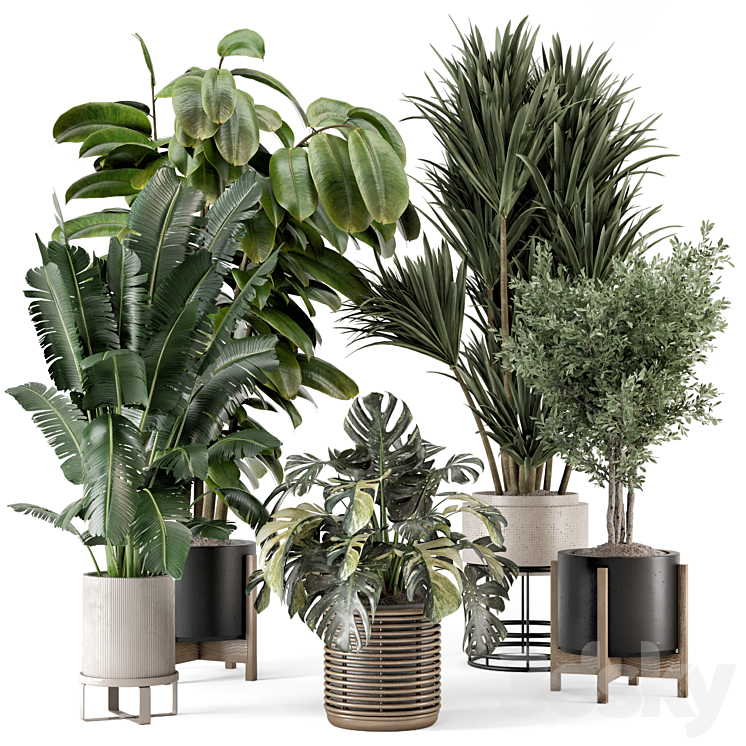 Indoor Plants in Ferm Living Bau Pot Large – Set 1328 3DS Max Model - thumbnail 3