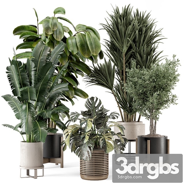 Indoor plants in ferm living bau pot large – set 1328 - thumbnail 1