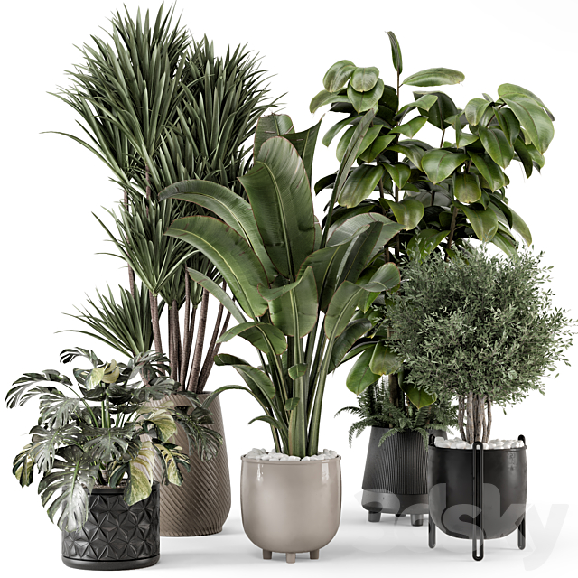 Indoor Plants in Ferm Living Bau Pot Large – Set 1343 3ds Max - thumbnail 1