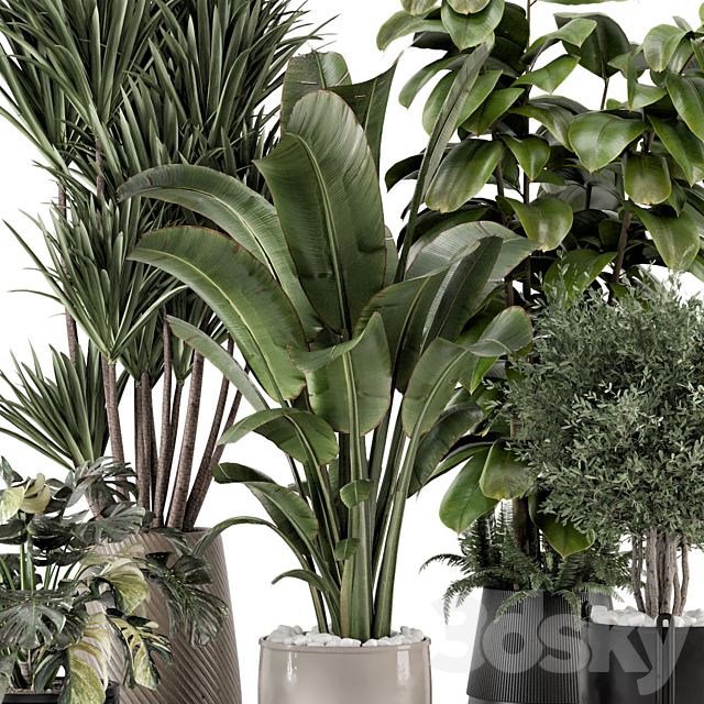 Indoor Plants in Ferm Living Bau Pot Large – Set 1343 3ds Max - thumbnail 2