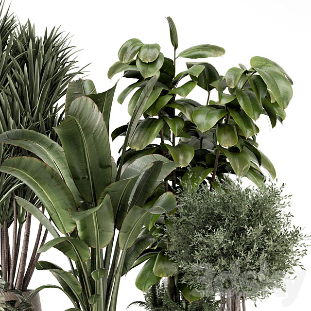 Indoor Plants in Ferm Living Bau Pot Large – Set 1343 3ds Max - thumbnail 3