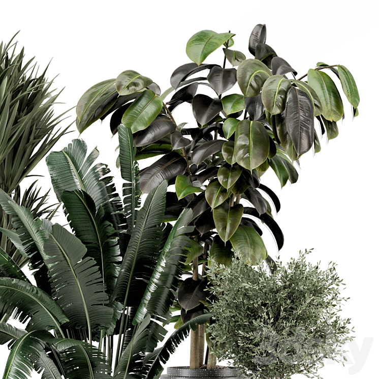 Indoor Plants in Ferm Living Bau Pot Large – Set 1351 3DS Max Model - thumbnail 2