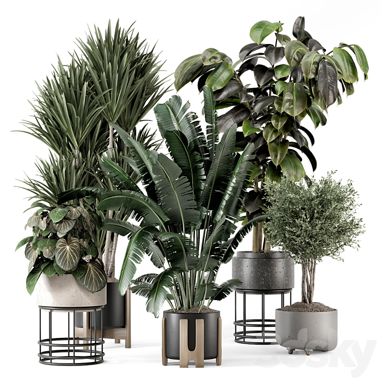 Indoor Plants in Ferm Living Bau Pot Large – Set 1351 3DS Max Model - thumbnail 3