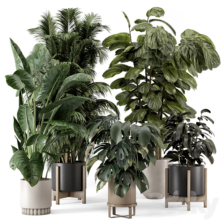 Indoor Plants in Ferm Living Bau Pot Large – Set 1361 3DS Max Model - thumbnail 1