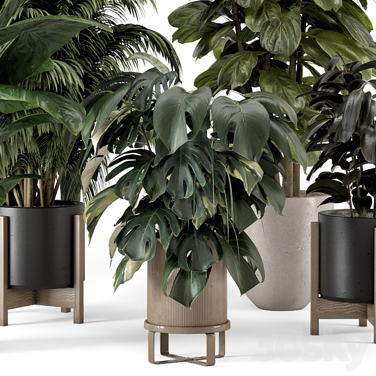 Indoor Plants in Ferm Living Bau Pot Large – Set 1361 3DS Max Model - thumbnail 2
