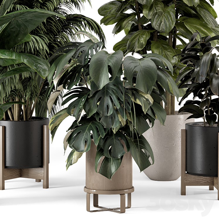 Indoor Plants in Ferm Living Bau Pot Large – Set 1361 3DS Max - thumbnail 2