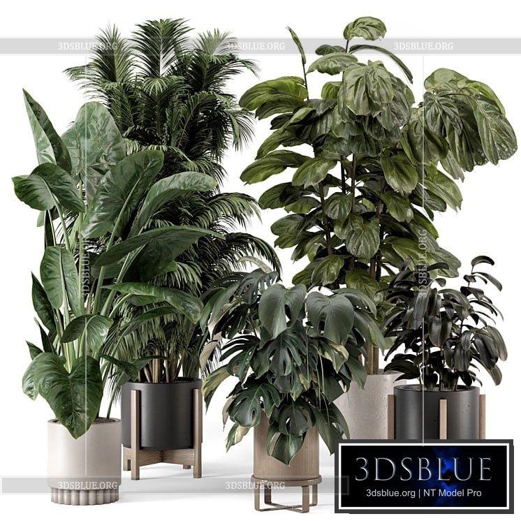 Indoor Plants in Ferm Living Bau Pot Large – Set 1361 3DS Max - thumbnail 3