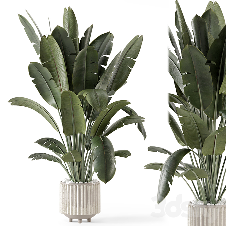 Indoor Plants in Ferm Living Bau Pot Large – Set 1448 3DS Max Model - thumbnail 1