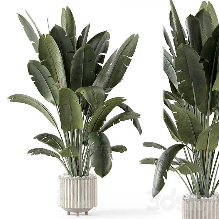 Indoor Plants in Ferm Living Bau Pot Large – Set 1448 3DS Max - thumbnail 1