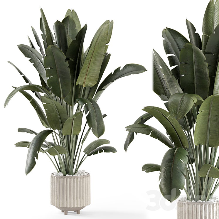 Indoor Plants in Ferm Living Bau Pot Large – Set 1448 3DS Max - thumbnail 2