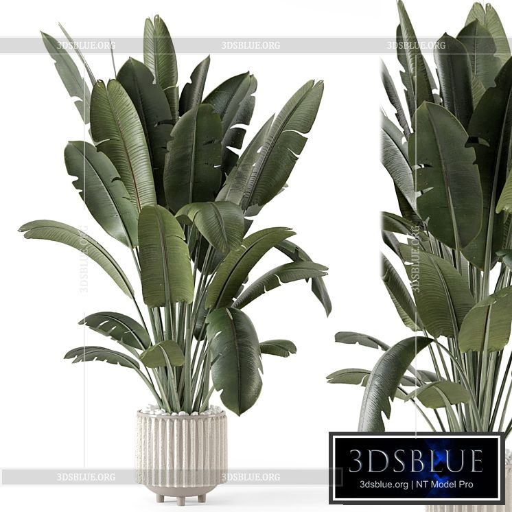 Indoor Plants in Ferm Living Bau Pot Large – Set 1448 3DS Max - thumbnail 3