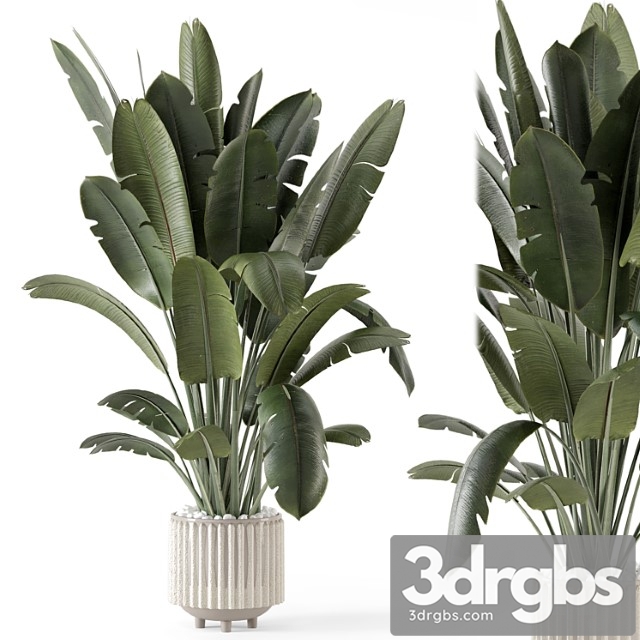 Indoor plants in ferm living bau pot large – set 1448 - thumbnail 1